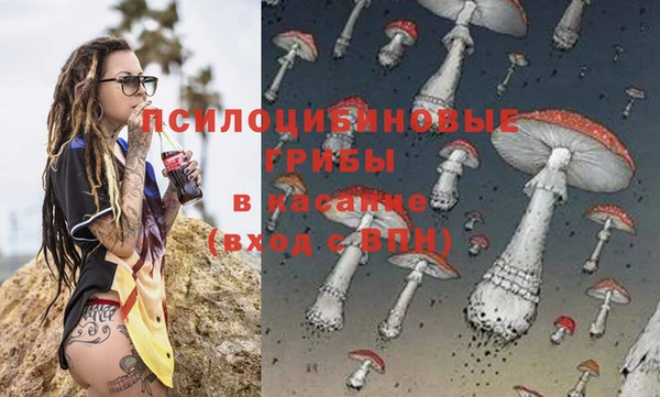 не бодяженный Арсеньев