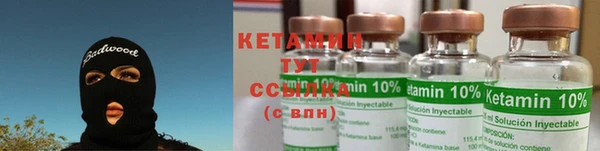 дживик Касимов