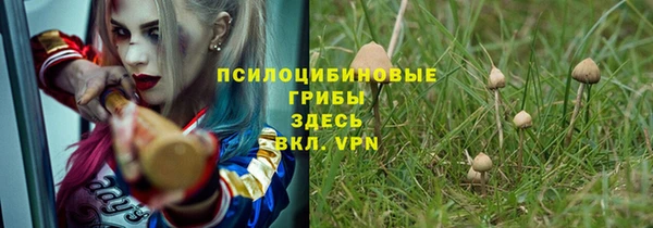 соль ск Инта