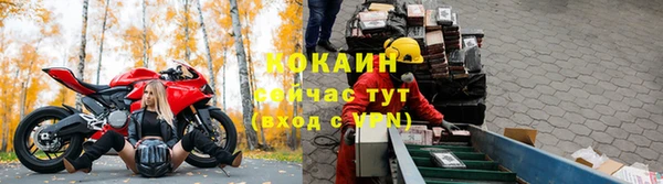 не бодяженный Арсеньев